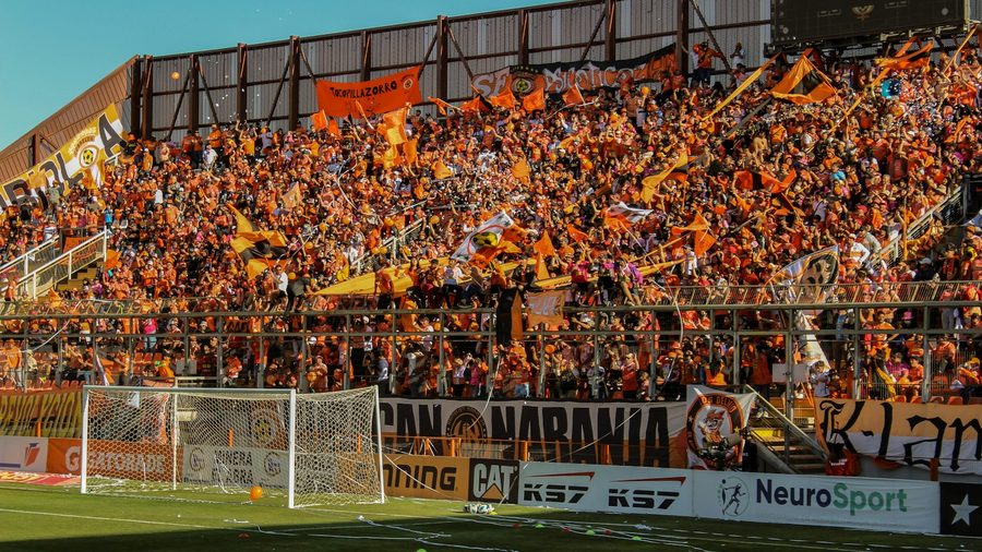 必一体育 APP — 营业执照与资质公示示意配图